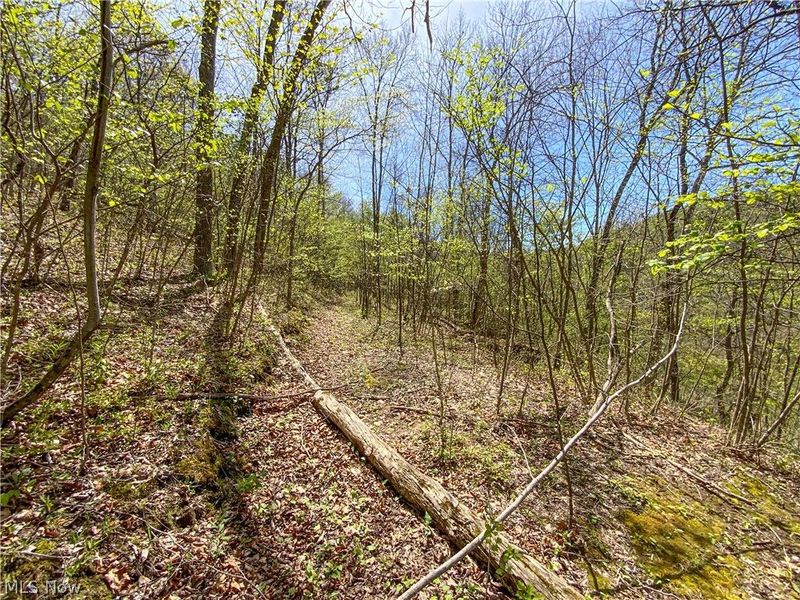 0 Brushy Hill Road, Jerusalem, OH 43716 Photo 8