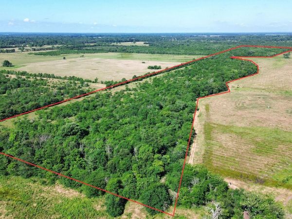 000 Pine Prairie Rd., Ashdown, AR 71822
