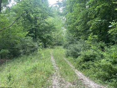 TBD Keiths Fork Road, Weston, WV 26452
