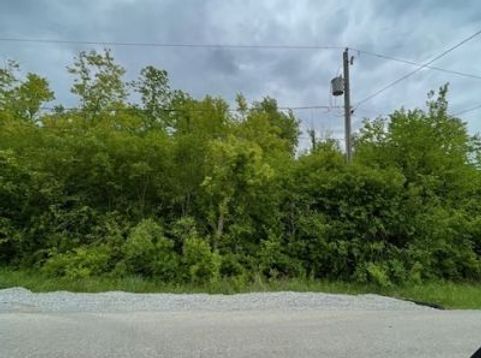 Main Photo