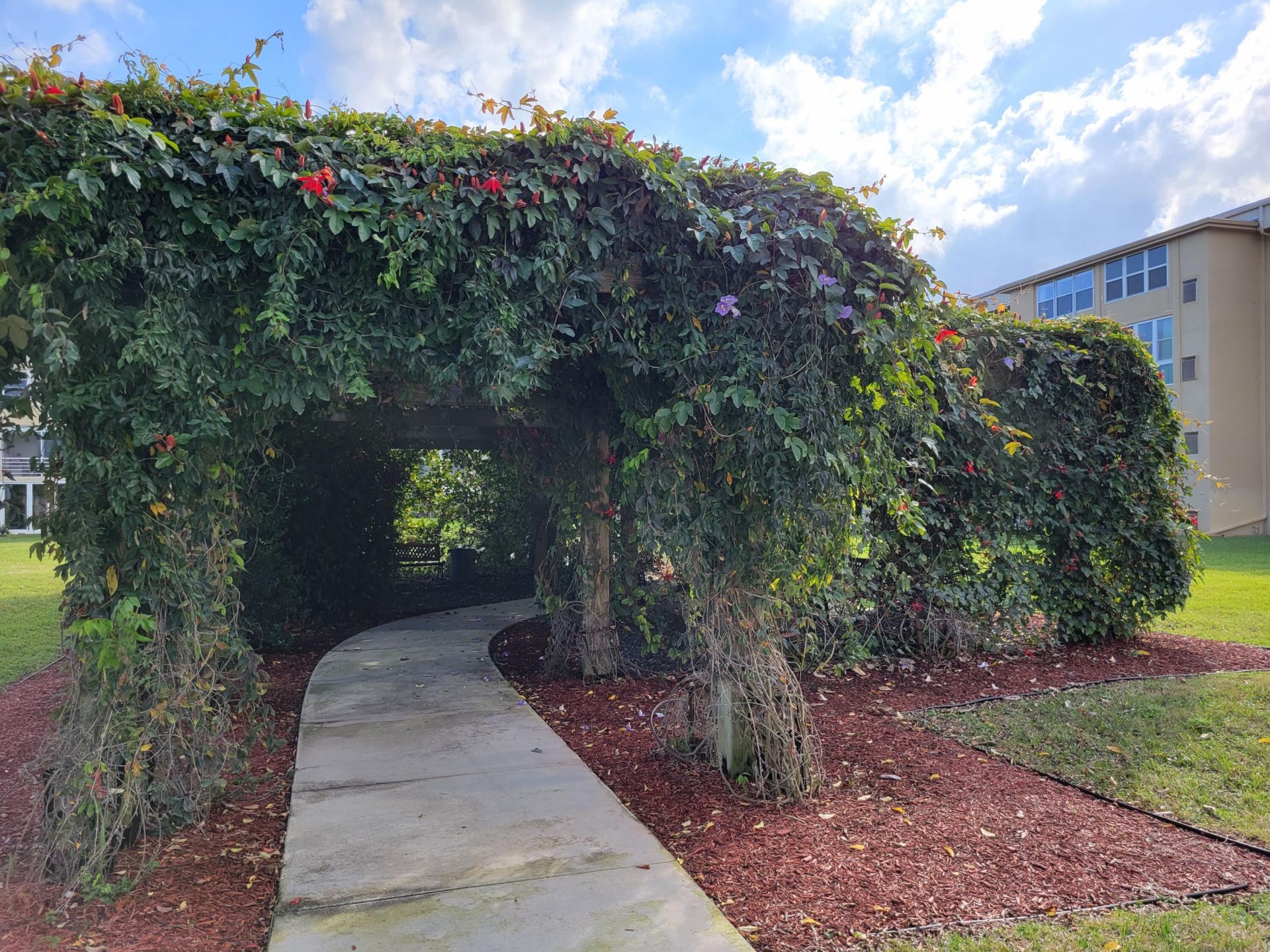 2600 NE 1st Lane, Unit 402, Boynton Beach, FL 33435 Photo
