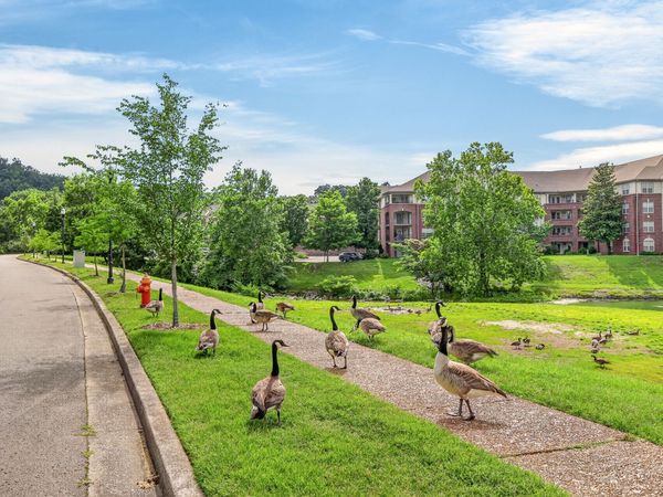 608 Arkland Pl , Nashville, TN 37215