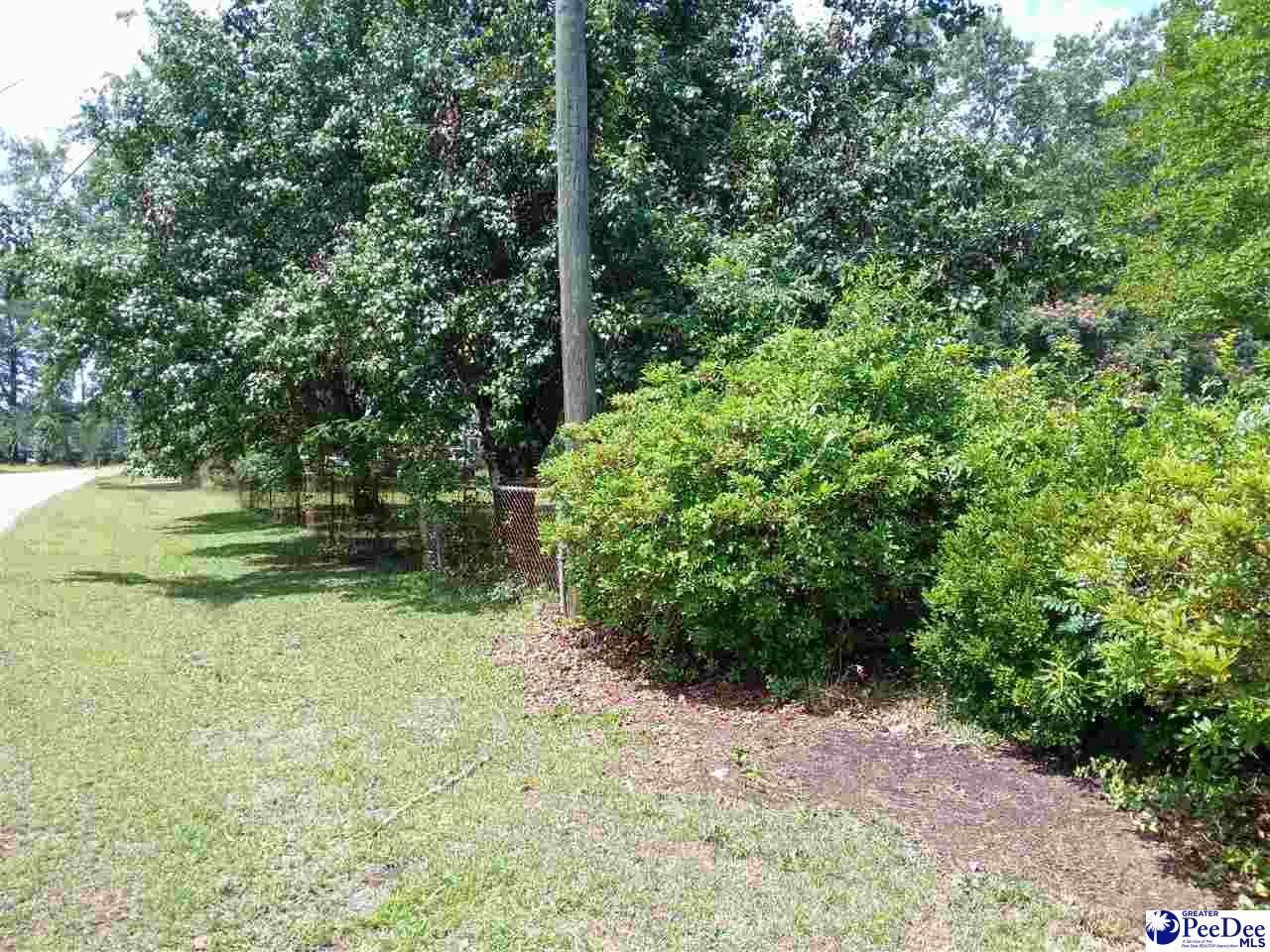 221 Pecan Drive Photo 10