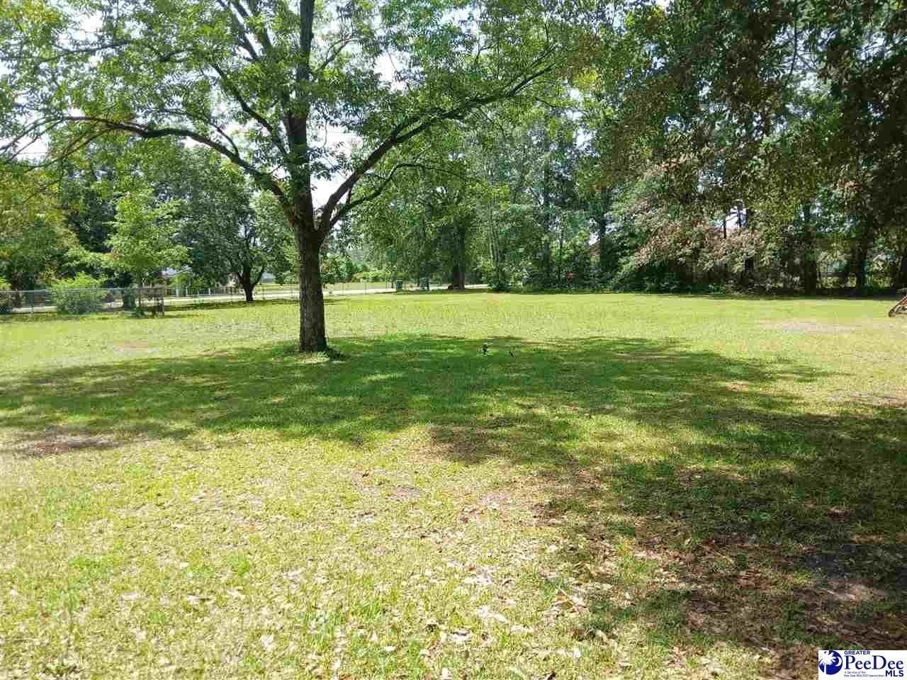 221 Pecan Drive Photo 7
