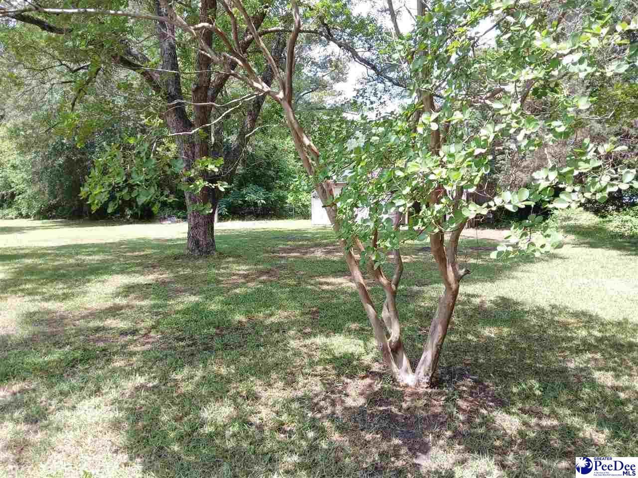 221 Pecan Drive Photo 9