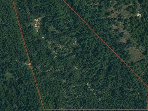 5 Oak Ridge RD , Steelville, MO 65565