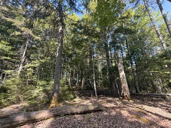 Lot #17 Sunset Cove Way , Orland, ME 04472