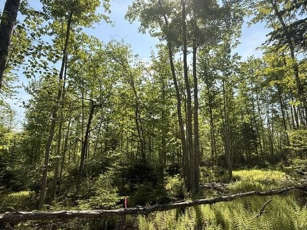 Lot #16 Sunset Cove Way , Orland, ME 04472
