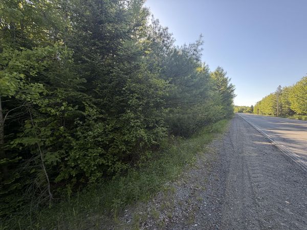 Lot A,C,&D Vanceboro Road , Vanceboro, ME 04619
