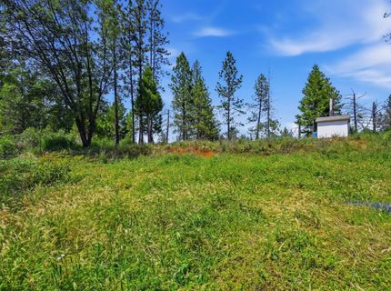 10200 Stotler Ave, North San Juan, CA 95960 Photo