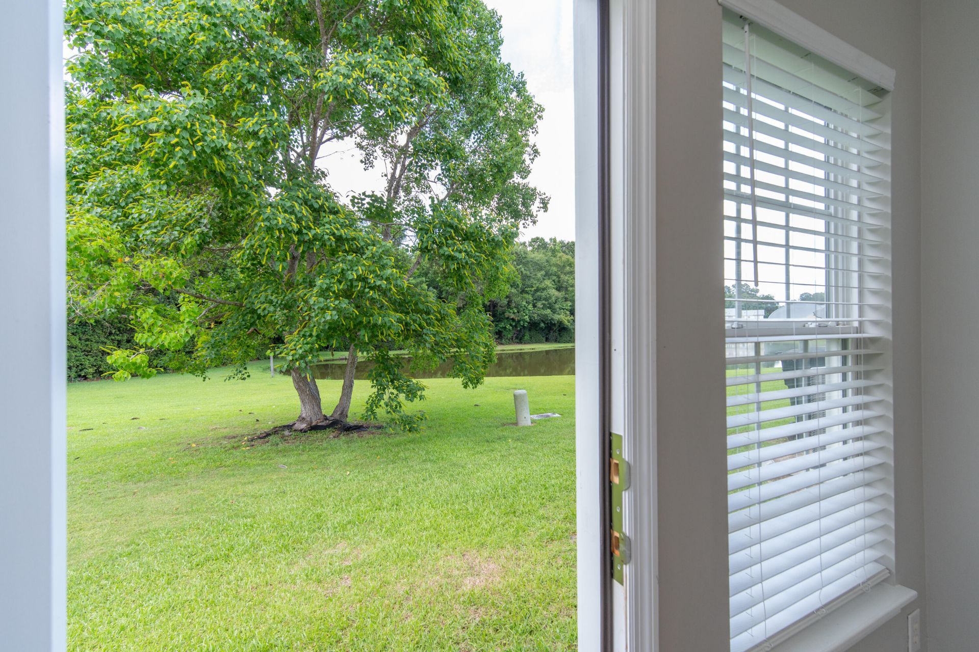 142 Black River Drive Photo 16