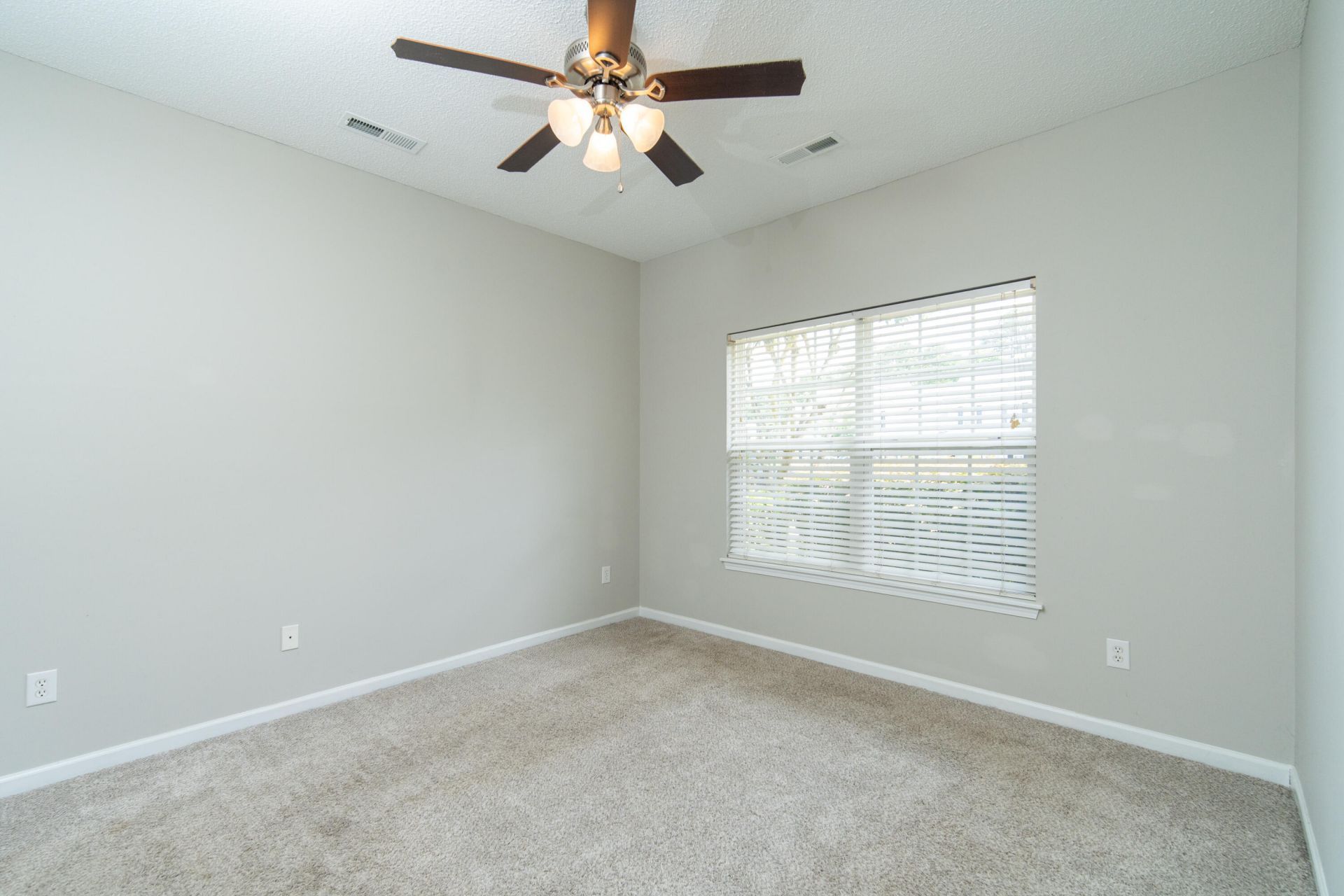142 Black River Drive Photo 17