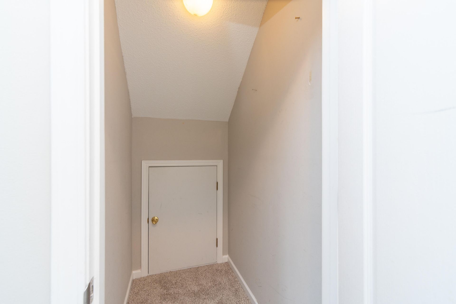 142 Black River Drive Photo 21