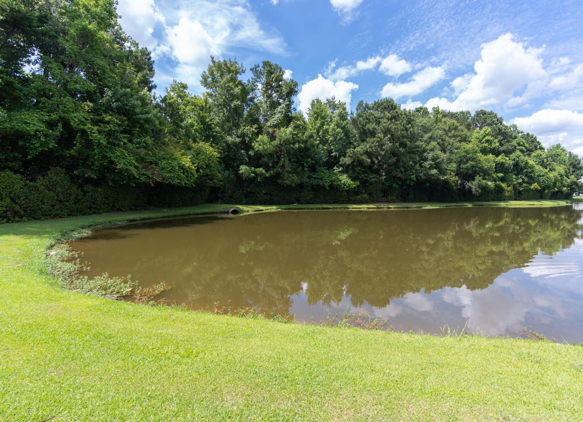 142 Black River Drive Photo 32