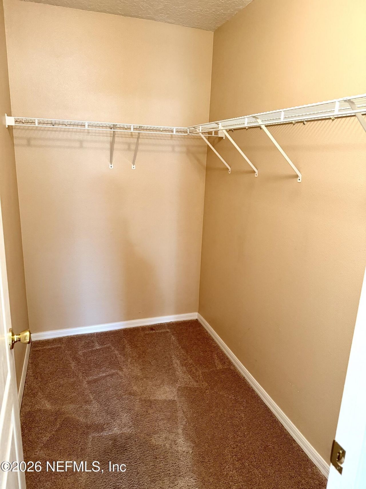 762 Ginger Mill Drive, Saint Johns, FL 32259 Photo