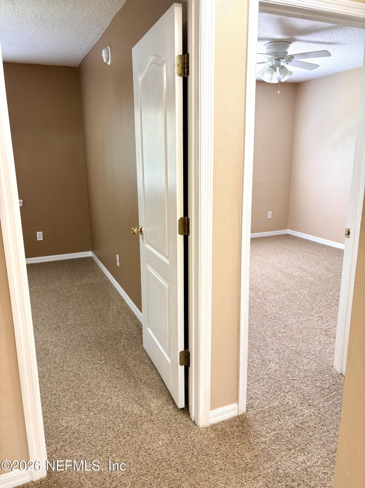 762 Ginger Mill Drive, Saint Johns, FL 32259 Photo