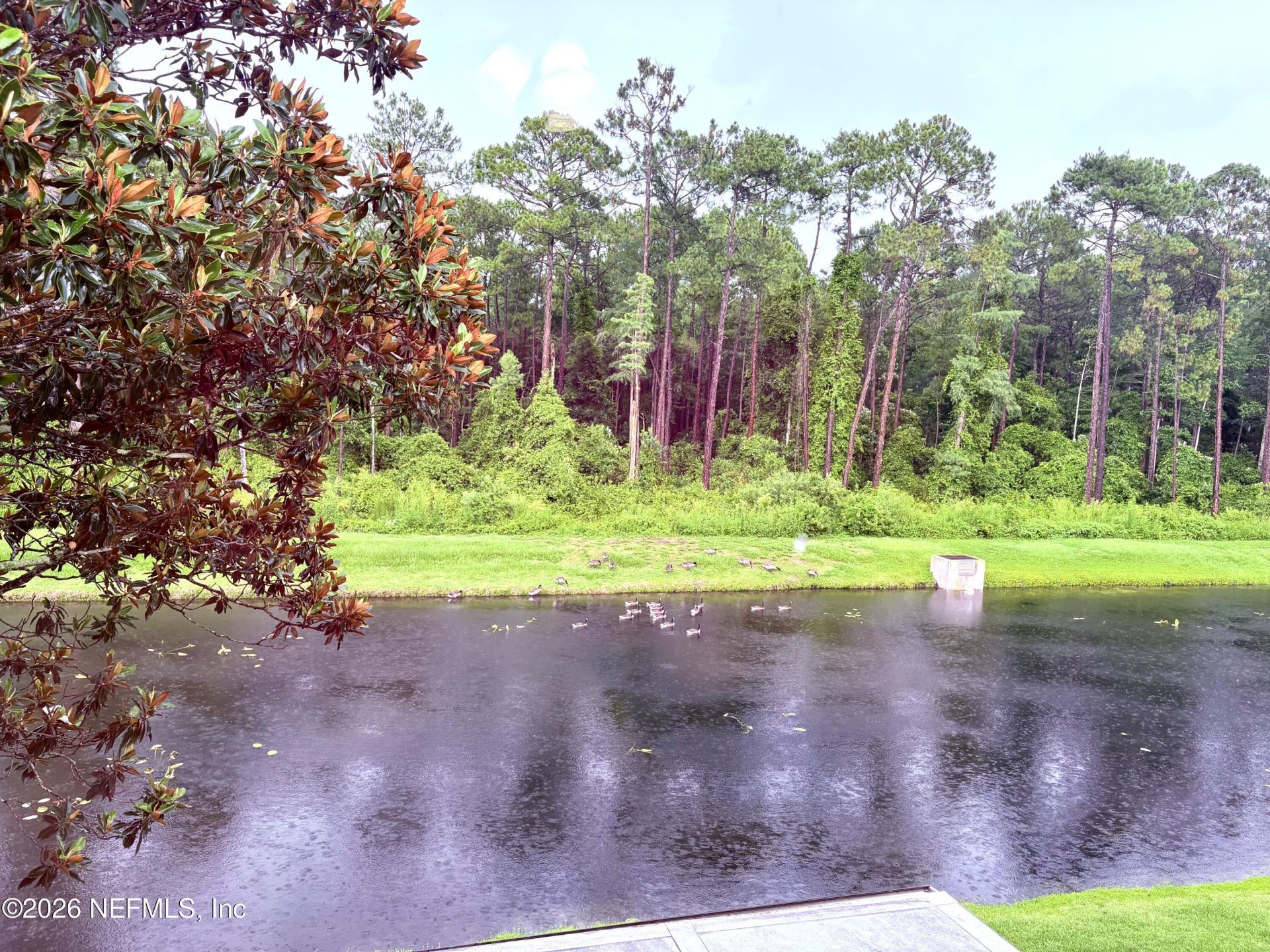 762 Ginger Mill Drive, Saint Johns, FL 32259 Photo
