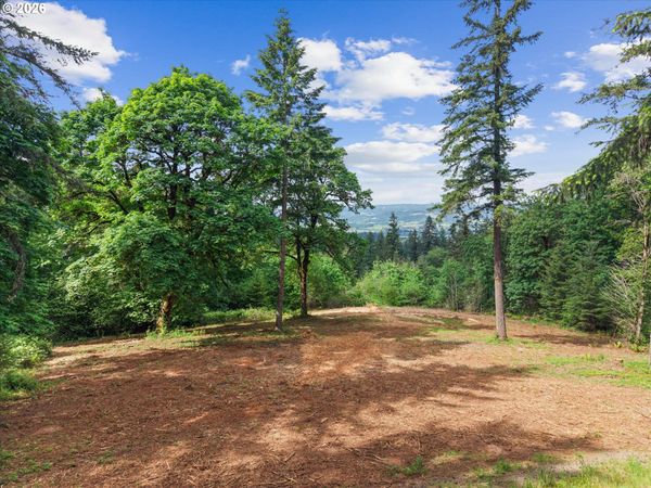 18755 NE BUENA VISTA DR, Dundee, OR 97115