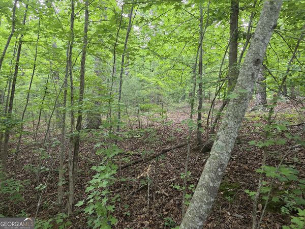 2 LOTS Oak Forest, Clarkesville, GA 30523