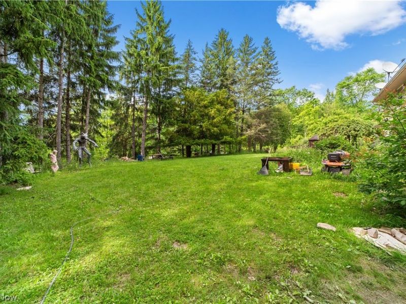 5170 Valley View Drive, Medina, OH 44256 Photo 29