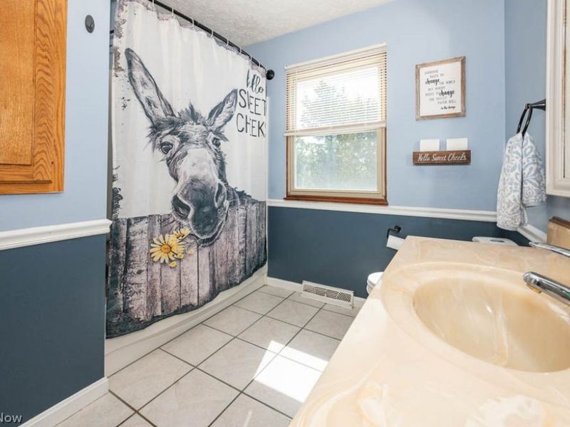 7308 Lake O Springs Avenue NW, North Canton, OH 44720 Photo 20