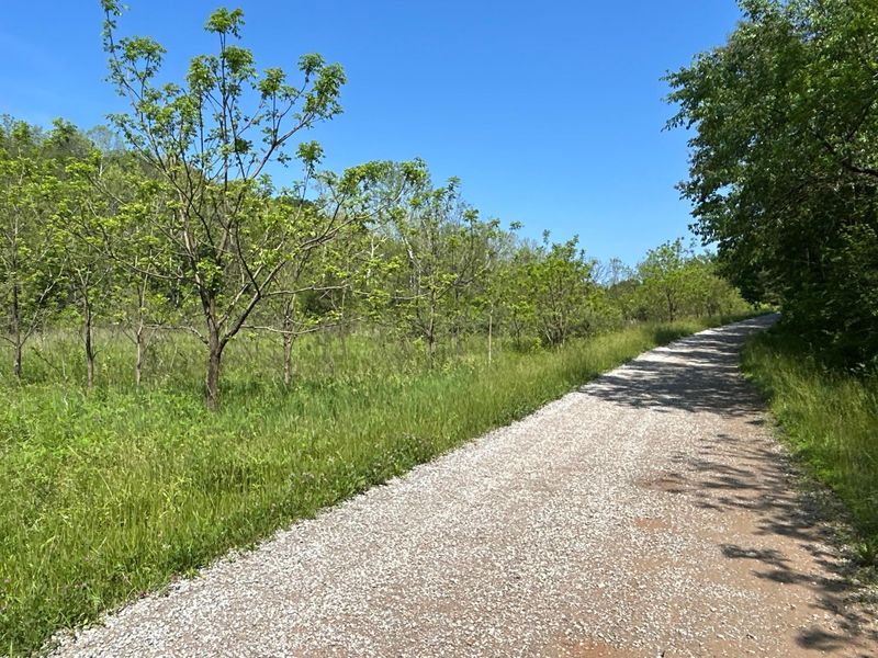 0 Morgan Lane , Bidwell, OH 45614 Photo 4