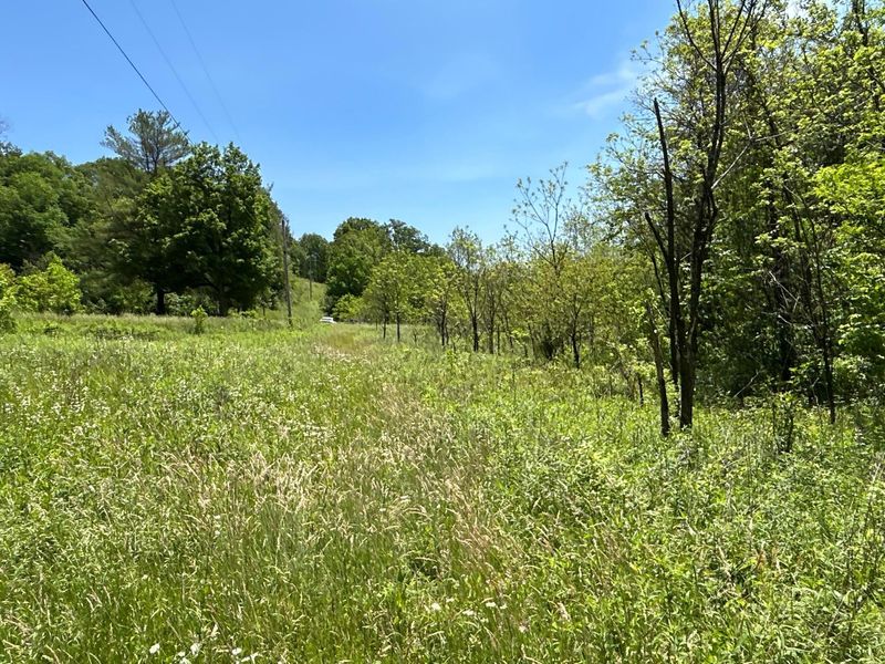 0 Morgan Lane , Bidwell, OH 45614 Photo 5