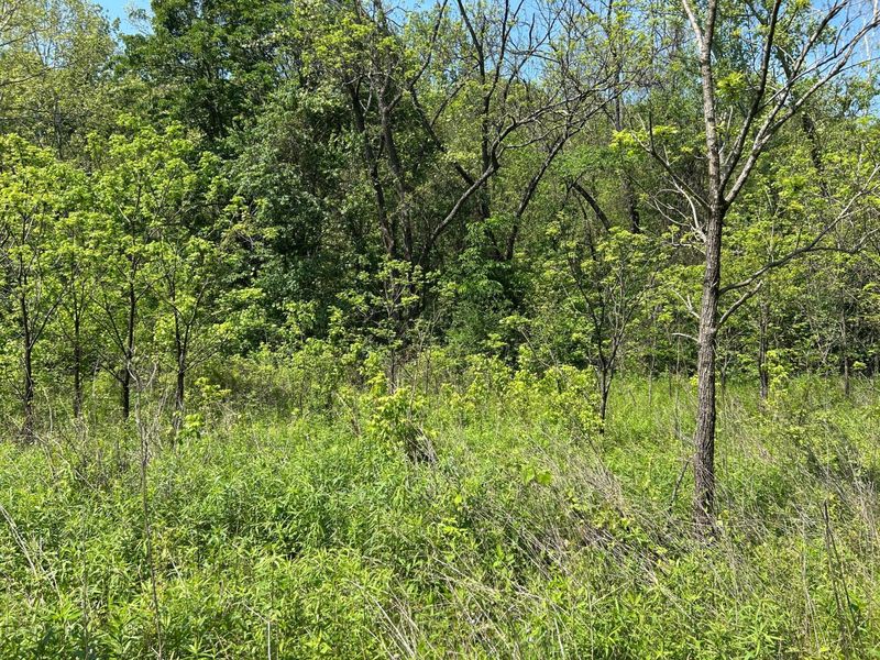 0 Morgan Lane , Bidwell, OH 45614 Photo 7