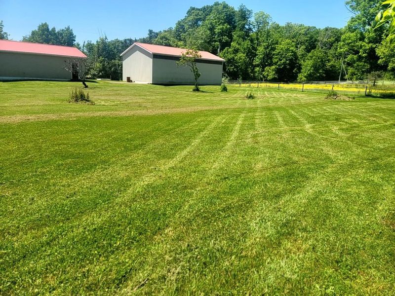 8027 Township Road 83, Bellville, OH 44813 Photo 15