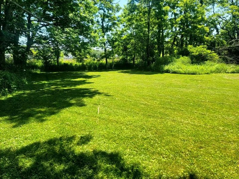 8027 Township Road 83, Bellville, OH 44813 Photo 16