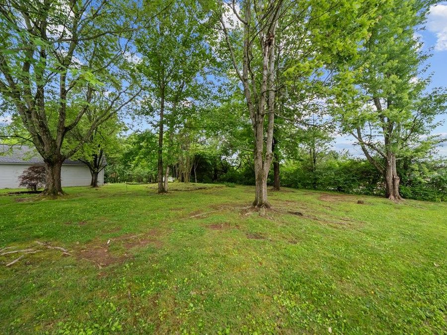Property Image 122