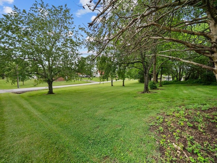 Property Image 124