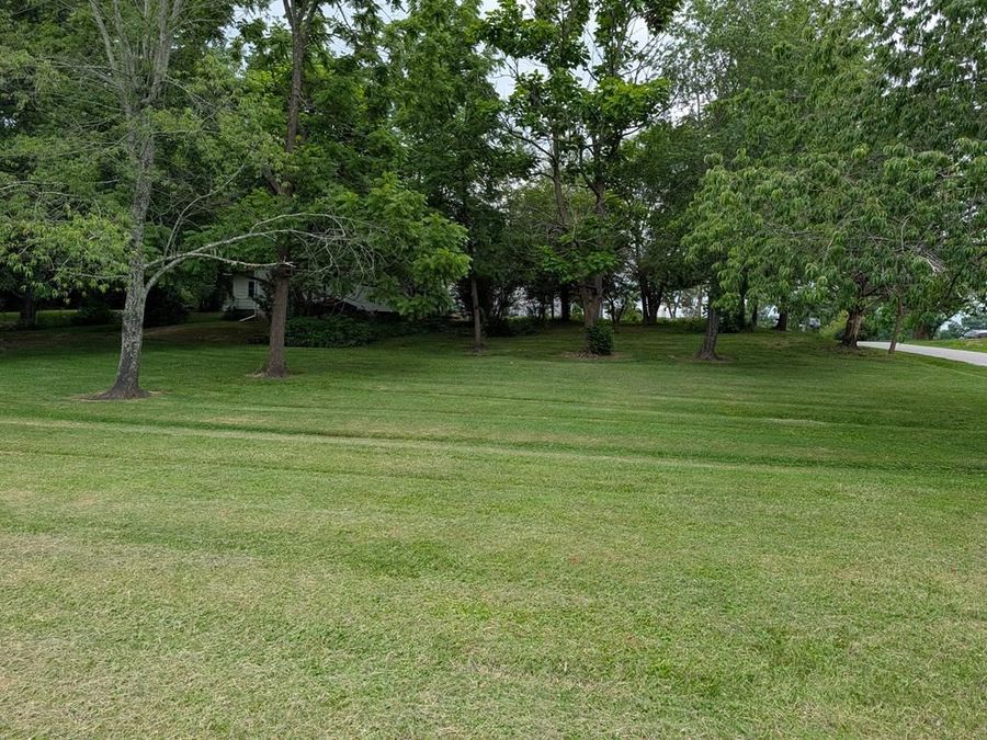 Property Image 79