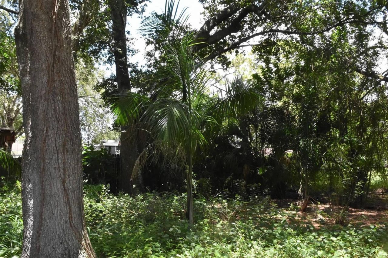 907 Pine Street , Immokalee, FL 34142 Photo