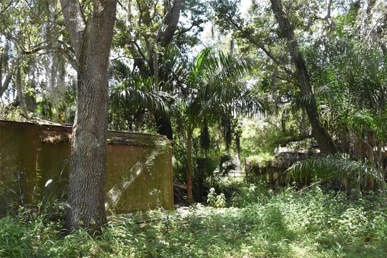 907 Pine Street , Immokalee, FL 34142 Photo