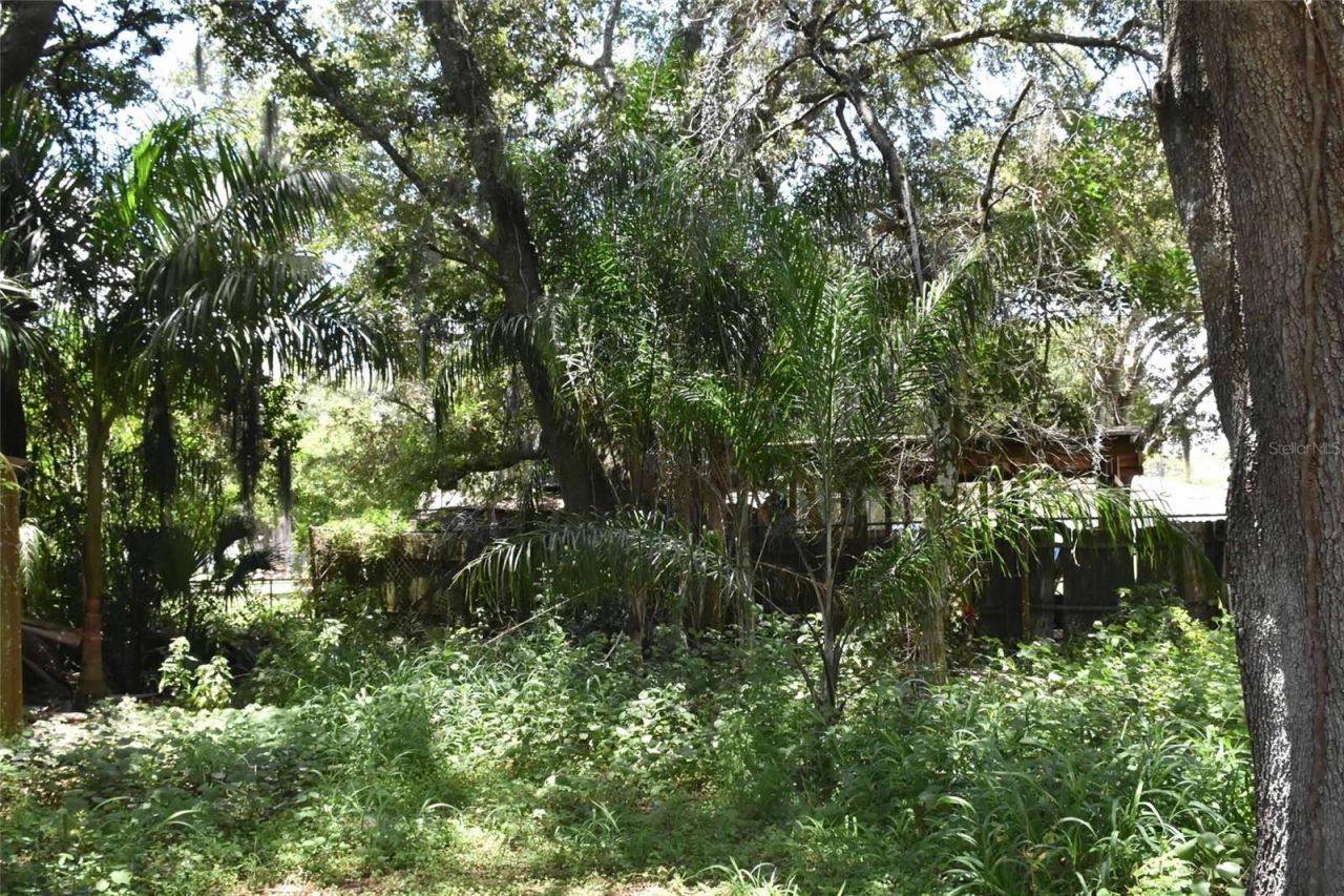 907 Pine Street , Immokalee, FL 34142 Photo