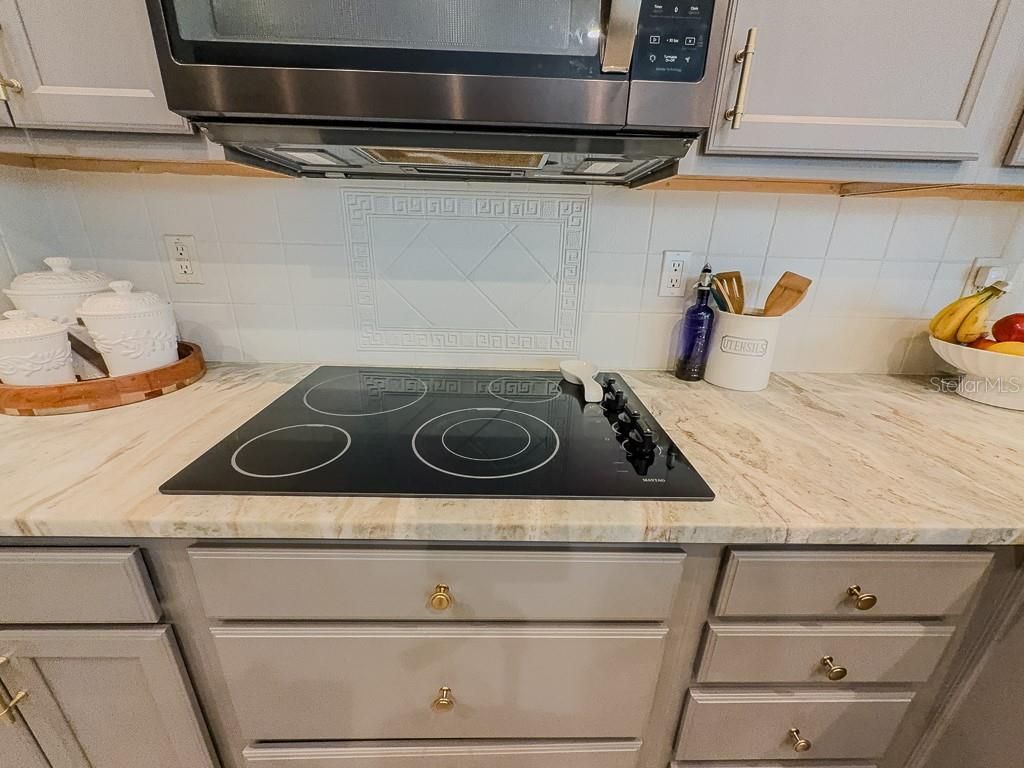 5852 Cachette De Riviera Court, New Port Richey, FL 34655 Photo