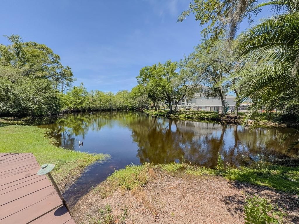 5852 Cachette De Riviera Court, New Port Richey, FL 34655 Photo