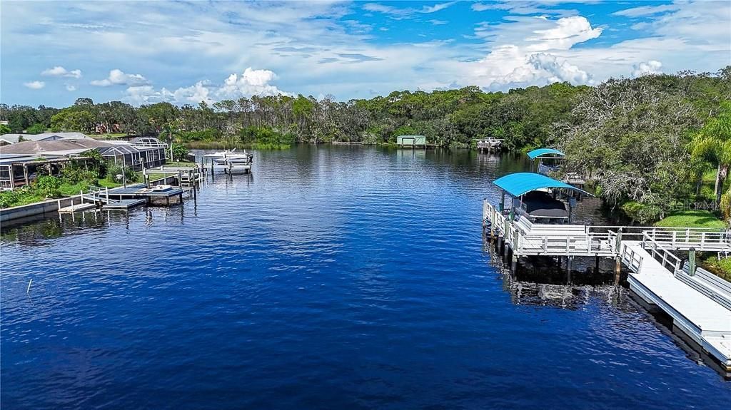 5852 Cachette De Riviera Court, New Port Richey, FL 34655 Photo