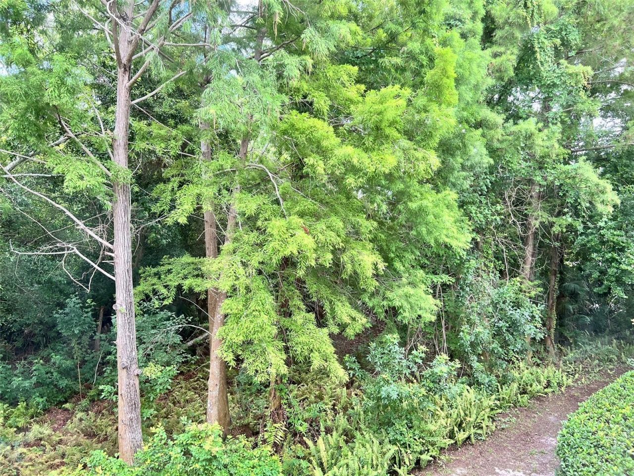 3608 54th Drive W, Unit 202, Bradenton, FL 34210 Photo