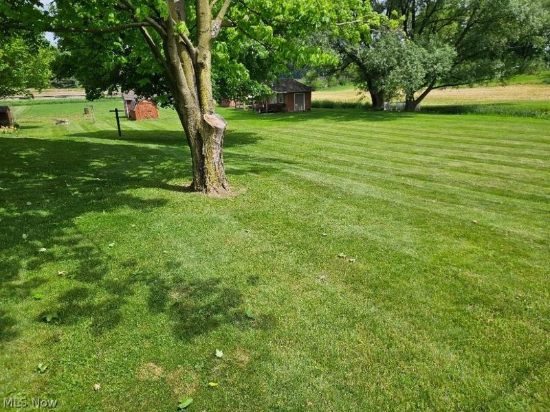 8672 Bayard Road, Minerva, OH 44657 Photo 2