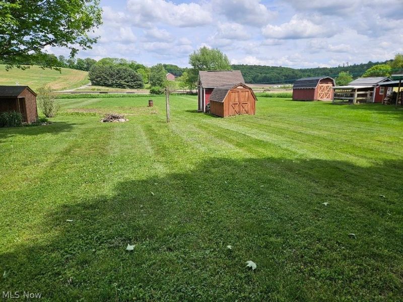 8672 Bayard Road, Minerva, OH 44657 Photo 4