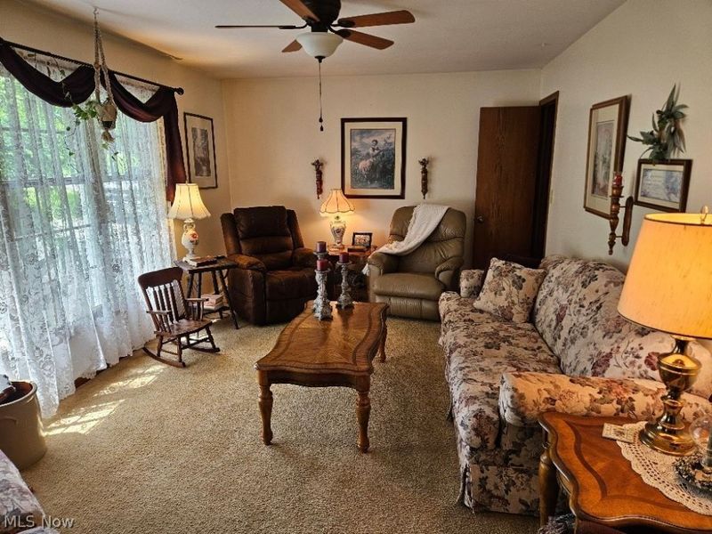 8672 Bayard Road, Minerva, OH 44657 Photo 8
