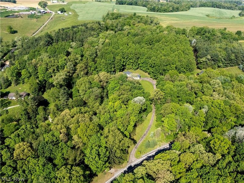 16062 State Route 39, Loudonville, OH 44842 Photo 3