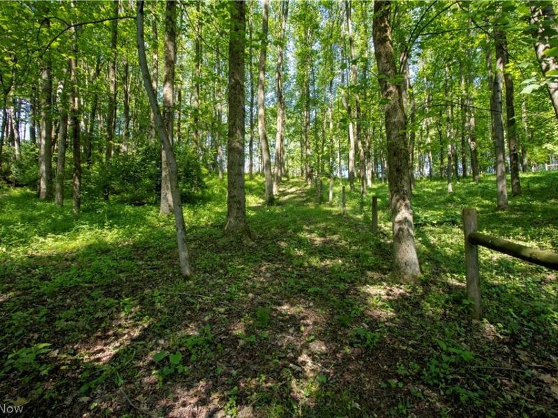 16062 State Route 39, Loudonville, OH 44842 Photo 32