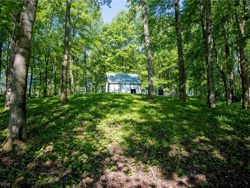 16062 State Route 39, Loudonville, OH 44842 Photo 33
