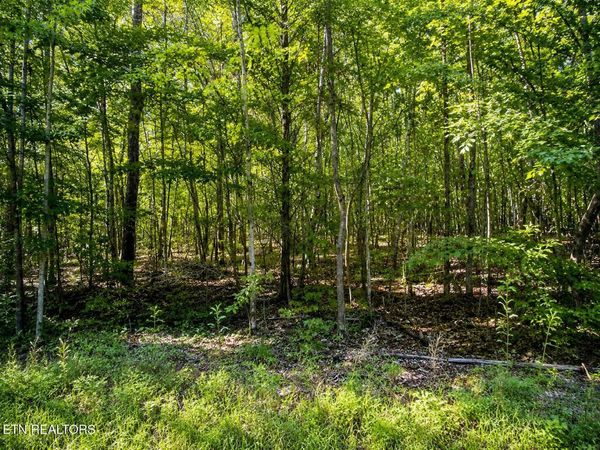 Lot 5 Keylon Hollow Road , Ten Mile, TN 37880