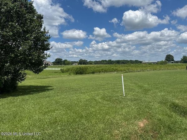 66 Lovorn Court, Flora, MS 39071