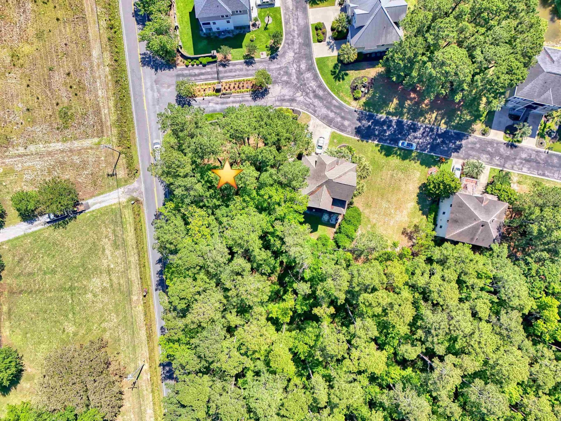 100 Harbor Oaks Dr.  Photo 24