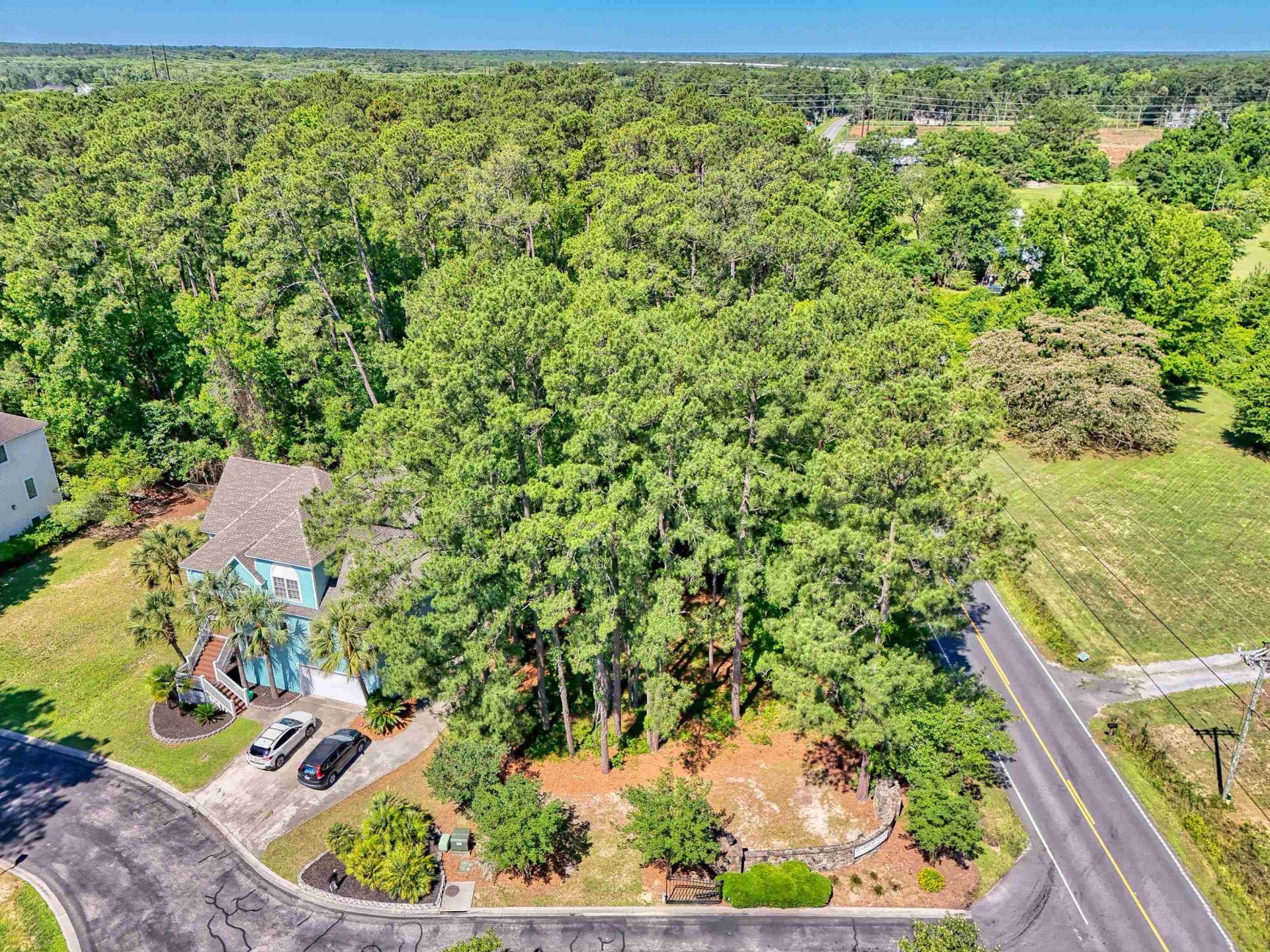 100 Harbor Oaks Dr.  Photo 4